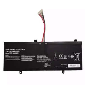 Battery for GAS-F20