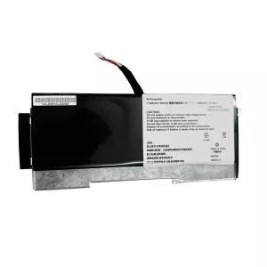 Battery for SSBS51
