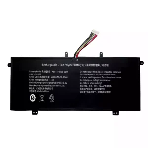 Battery for AEC4478123-2S1P